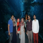 Adam ali sur yala.fm